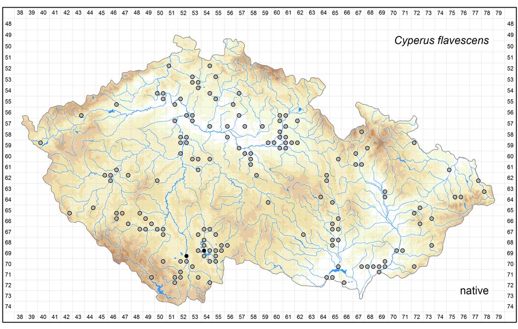 Distribution of Cyperus flavescens in the Czech Republic Author of the map: Pavel Dřevojan, Kateřina Šumberová Map produced on: 14-05-2016 Database records used for producing the distribution map of