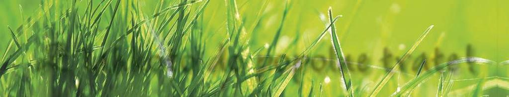 Vzklije v dneh! 8 0 Namig Semena znamke so zelene barve, kar zagotavlja zaščito pred pticami!