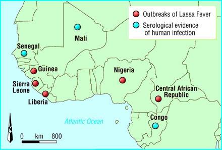 Lassa se vyskytuje v oblastech západní Afriky: v Guinei, Libérii, Sierra Leonne, Nigérii, s možností rozšíření do dalších oblastí.