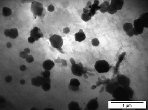 5: AlMn5Sr2 alloy, cross section, SEM Pro detailnější studium mikrostruktury byla použita transmisní