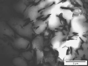 Obr. 8: Slitina AlMn5Sr2, TEM Fig. 8: AlMn5Sr2 alloy, TEM Obr. 9: Slitina AlMn5Sr2, TEM, detail Fig. 9: AlMn5Sr2 alloy, TEM, detail 3.