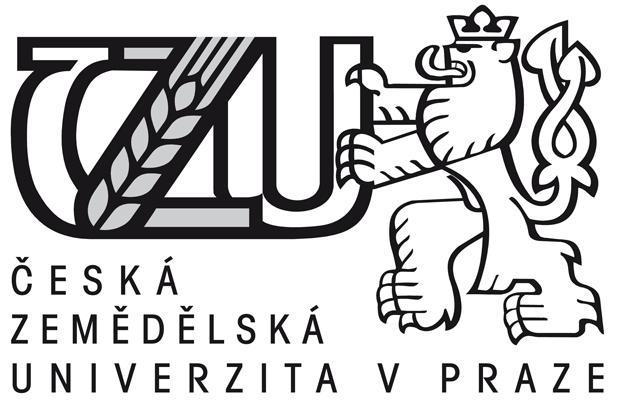 ČESKÁ ZEMĚDĚLSKÁ UNIVERZITA V PRAZE PROVOZNĚ EKONOMICKÁ FAKULTA KATEDRA INFORMAČNÍCH TECHNOLOGIÍ