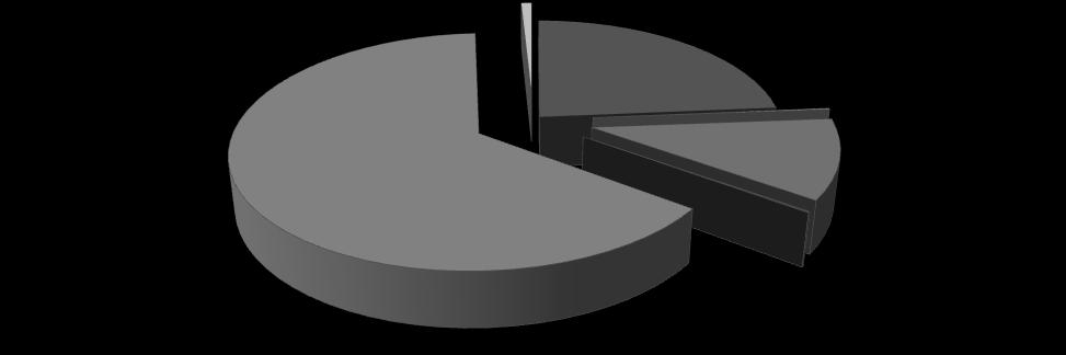 Percentuálny podiel typov diaľničných známok na celkovom predaji v roku 2015 v kusoch 10-dňové (O1 a O2) 0,83% Ročné do 3,5 t 23,64% Ročné (O1 a O2) 0,14% 10-dňové do 3,5 t 64,14% Mesačné do 3,5 t