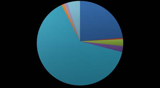 HB; 0,05% Ostatní; 1% DBC; 0,11% VJ; 0,21% JD; 0,97% SM; 63,55% Dřeviny Změny; 5% BO; 23,69% BR; 0,47% DB; 2,68% MD; 2,27% BO BR DB MD SM JD VJ DBC HB Ostatní Změny Obr. 5. Procentuální zastoupení jednotlivých druhů dřevin v Židovském lese (upraveno podle Anonymus).