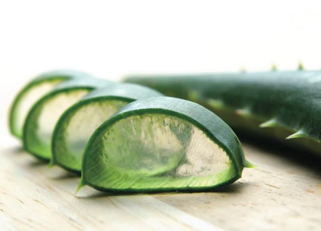 Aloe Vera Allantoin