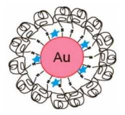 Sondy založené na nanočásticích (nanoparticles probes) Hybridní materiály složené z biomolekul (oligonukleotidy) a anorganických látek např.