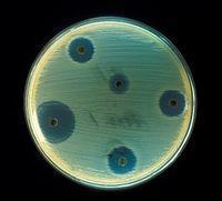 Citlivost bakterií k antimikrobiálním látkám Obr.