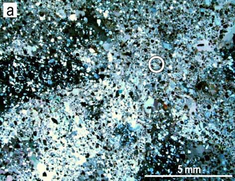 studovat vznik těchto struktur na dvou geneticky odlišných lokalitách. Geologická pozice Lokalita Suchdol (Nové Dvory) je situována v uzávěru rokle a leží cca 700 m jv. od Nových Dvorů a 800 m sz.