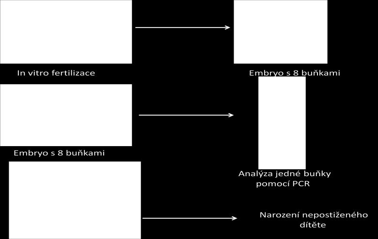 Toto vyšetření, ačkoli je spolehlivé, se doporučuje ověřovat v 11. 15. týdnu těhotenství prenatální diagnostikou [30, 32, 33]. Tím je možné předejít narození postiženého plodu.