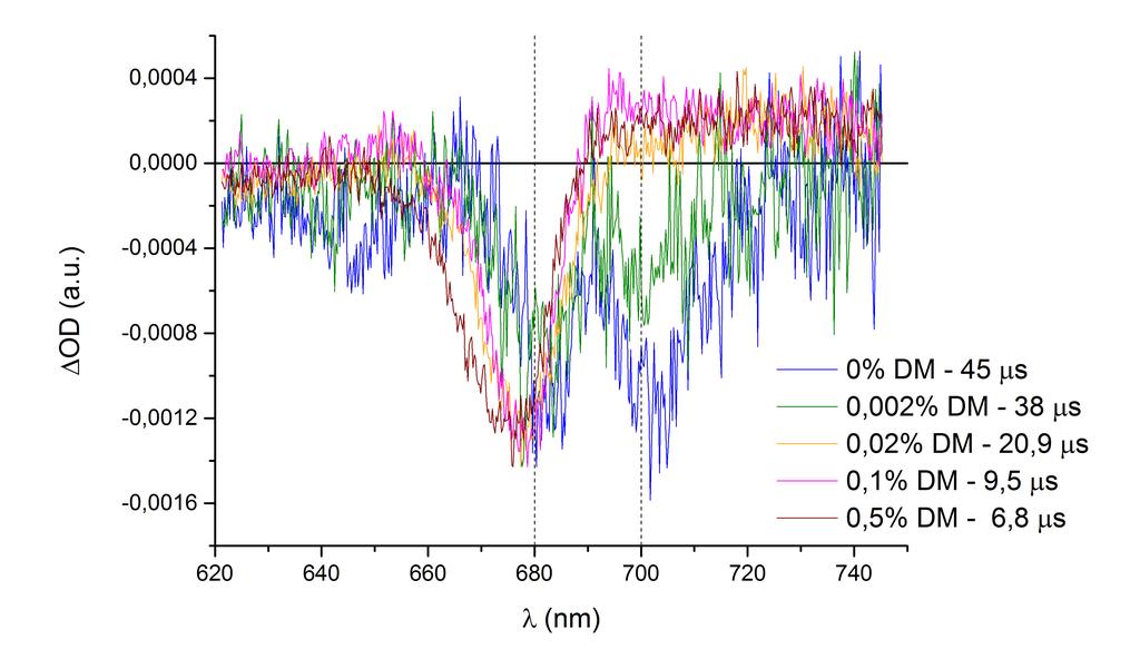 Červená oblast Největší změny v tvaru DAS křivek můžeme pozorovat v červené oblasti (obr. 3.18). U vzorků s koncentrací DM nižší než CMC vidíme dva pásy, a to kolem 680 nm a 700 nm.