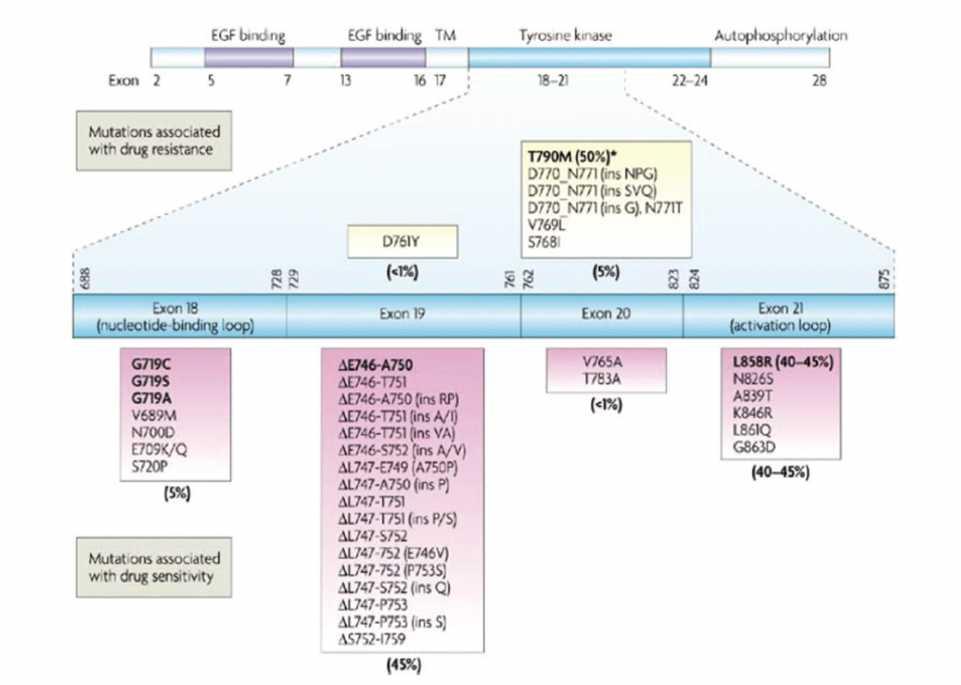 Journal of Thoracic Oncology