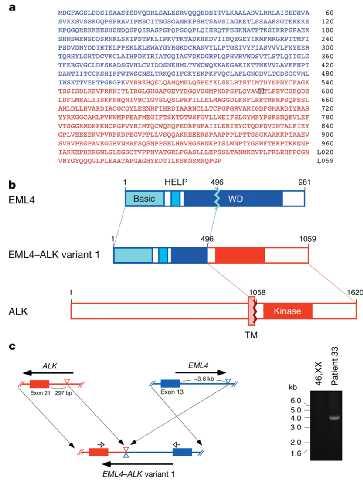 chimeric variants breakpoints within various EML4 exons other