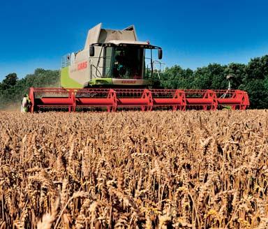 OSTATNÍ SLUŽBY NABÍDKA MERKANTILŮ výkup merkantilních komodit ze sklizně 2009 čištění merkantilního zboží na speciálních čistících technologiích zvýhodněné sazby za čištění pro smluvní partnery,