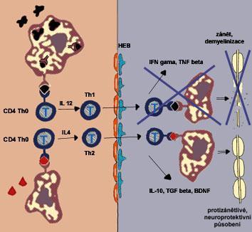 Mechanismus