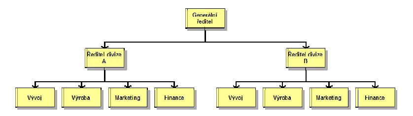 Obrázek 5: Divizní struktura, zdroj: Veber 2000 Organizační struktury s pružnými prvky (www.procesy.