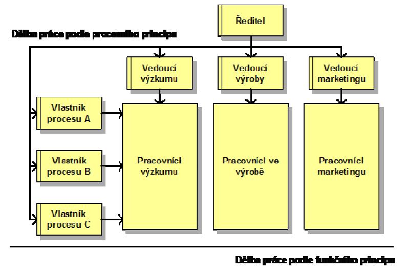 Na straně druhé nevýhodou může být dvojí podřízenost, následkem porušení zásady jediného odpovědného vedoucího.