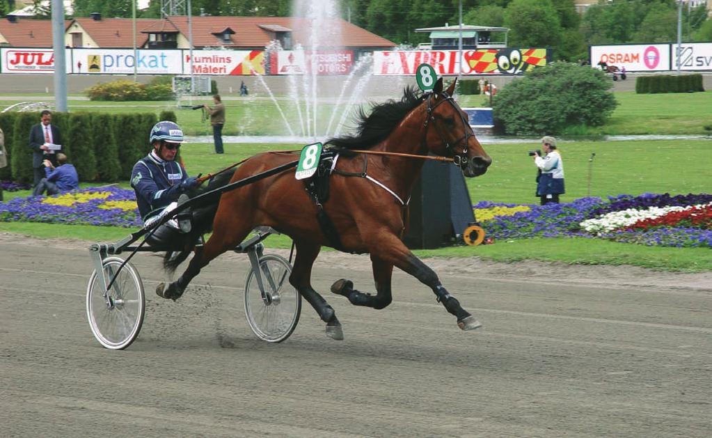 Možno je, da so podloge za bandaže prispevale k zmagi Victory Tilly s na Nat Ray Trot 2002 s časom svetovnega rekorda. Podloge uporabljamo preko noči na konjih z reakcijo v bicljih.