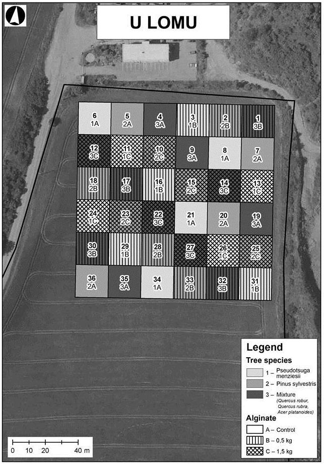 U Lomu Fig. 1. Design of the research plot U Lomu P. menziesii P. sylvestris Mixture (Q. robur, rubra,. platanoides) control 0.5 kg 1.