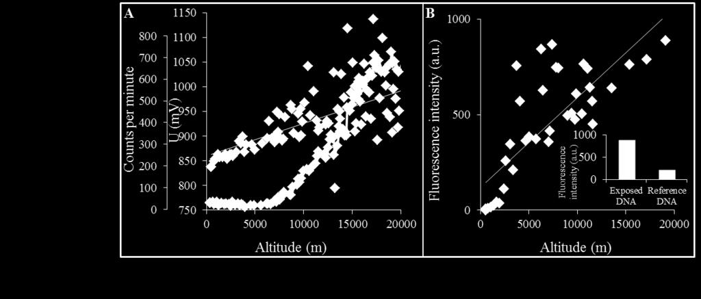 The increase of fluorescence intensity of CQDs/DNA complex, in dependence to increasing