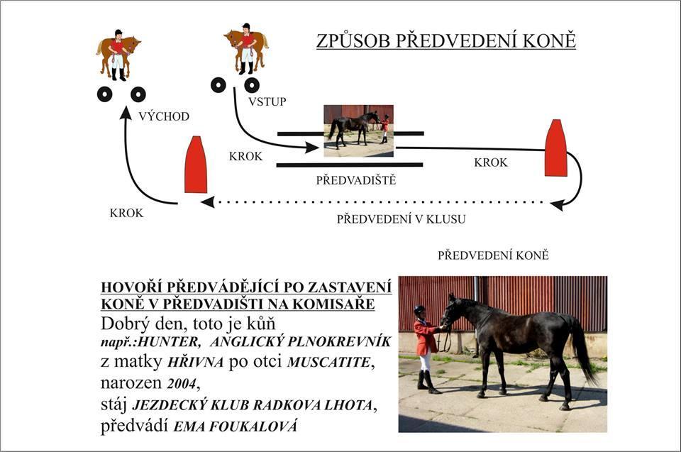 13. VELKÝ DEN KONÍ RADKOVA LHOTA 6. ROČNÍK SVÁTKU DNE DĚTÍ + DĚTSKÁ CROSS COUNTRY ČASY JSOU ORIENTAČNÍ!!! INFORMACE KE DNI DĚTÍ BUDOU NA KONCI TĚCHTO PROPOZIC!!! 2.2.1 Soutěž č.