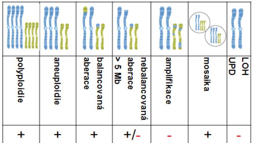 S pomocí SNP array dokážeme standardně zachytit chromozomální aberace o velikosti 10 kb.