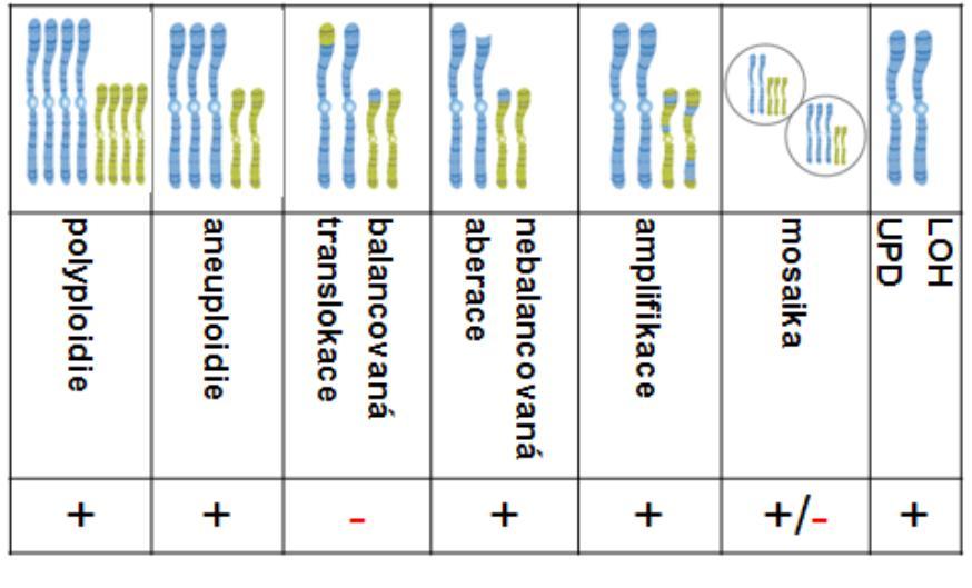 chromozómů, derivovaných chromozómů apod.) [2]. Výhodou této metody oproti klasickému karyotypování je možnost vyšetření odebraného vzorku bez nutnosti kultivace, tj.