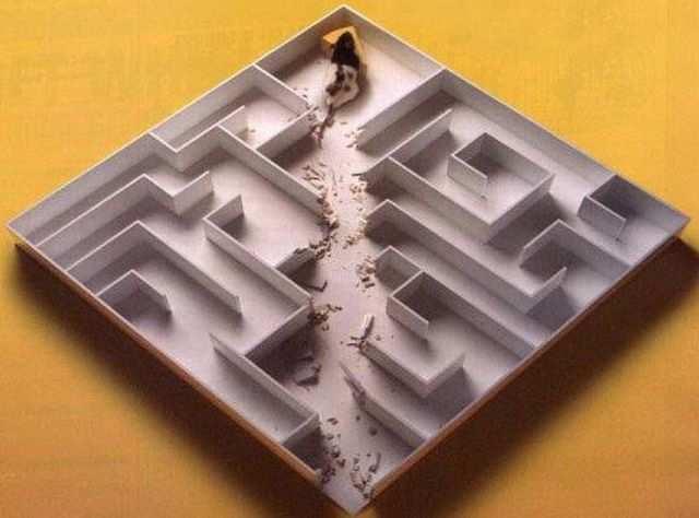 Does travelling through a maze always require memory?