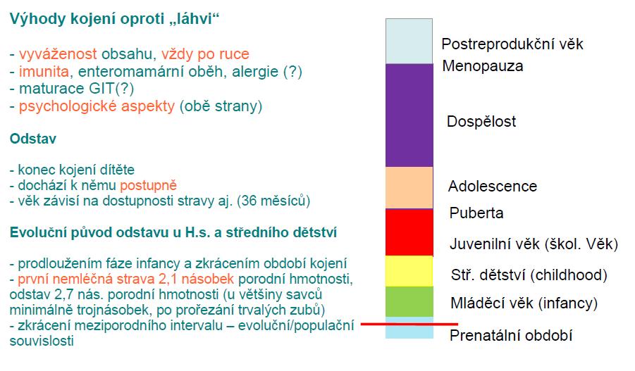 Lidská životní