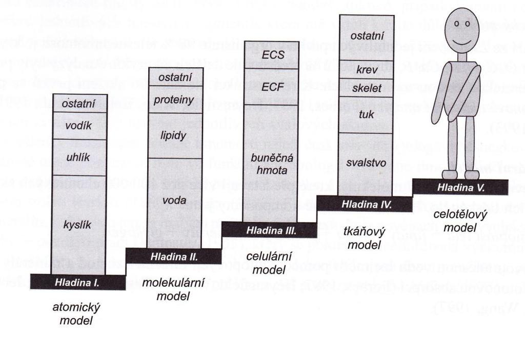Obrázek 10. Pětistupňový model tělesného složení člověka (Upraveno podle Wang, Pierson, & Heymsfield, 1992) Nejpoužívanějším modelem z praktického a klinického hlediska je dvoukomponentový model.