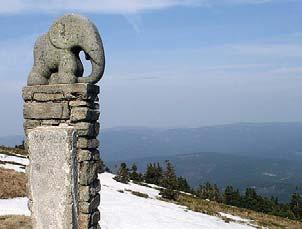 Naučná stezka Kralický Sněžník Naučná stezka začíná v obci Dolní Morava a vede údolím řeky Moravy až k jejímu prameni pod vrcholem Králického Sněžníku.