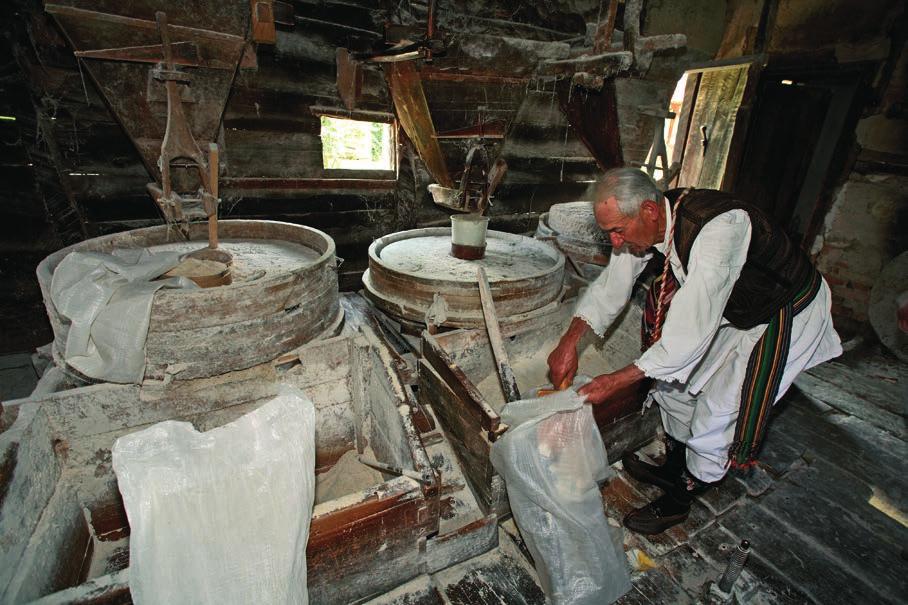 Вина из жупског краја, из краљевских подрума на Опленцу, ракије из Чачка, Краљева, Аранђеловца, капи су сокова историје преточених у традицију.