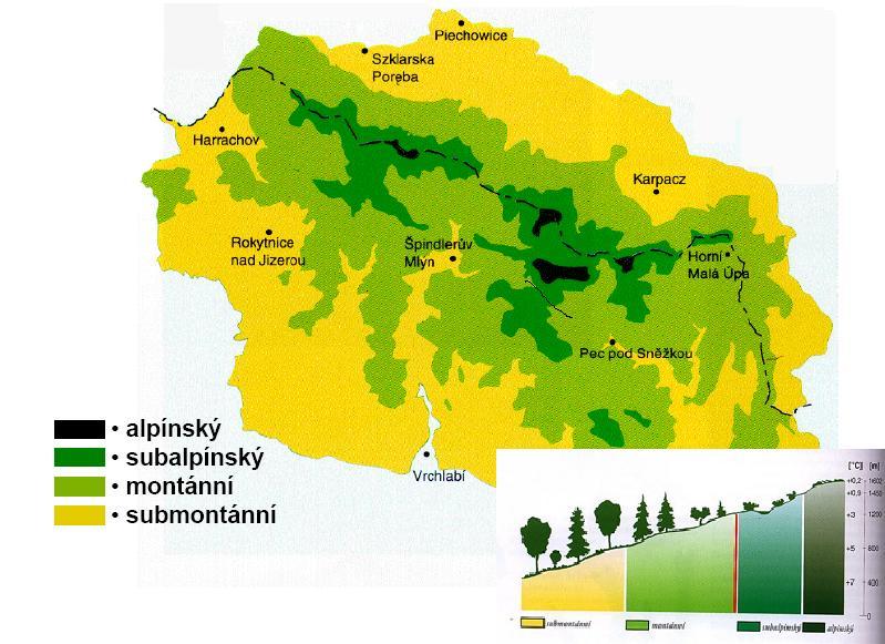 od nížin do hor v tomtéž území se mění životní podmínky pro vegetaci, což se odráží na její