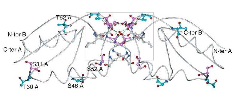 Korelace disperze chemických posunů D-protein + D decoupl 90 ±y 1 H: CP Decoupling (TPPM) 13 C: 180 t t t 1 180 t t Acquisition t 2 D-protein 2 H: H-protein Mikrokrystalický protein Crh (catabolite