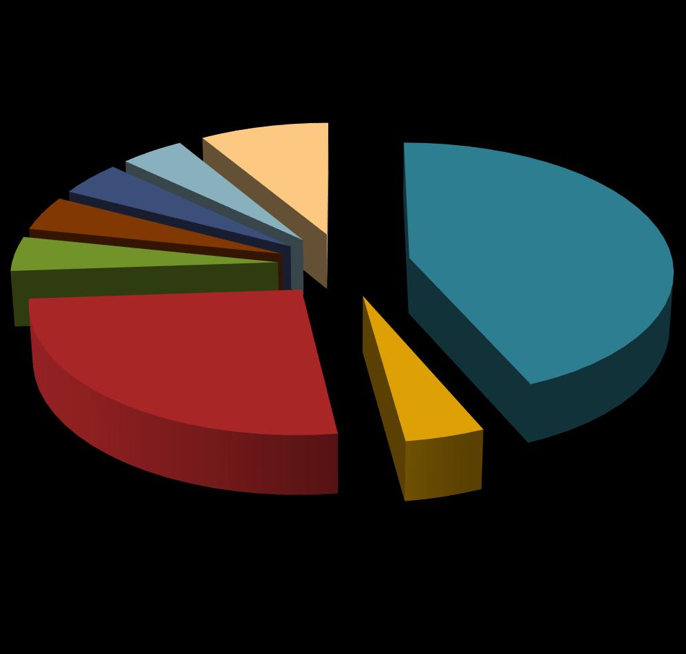 Lotus Notes IBM FileNet Leto DMS Čiastočný DMS (v