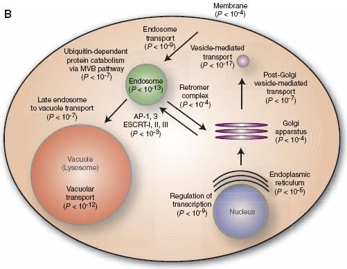 ..) - Celkem provedeno ~ 6milionů testů - multidrug resistance (MDR)