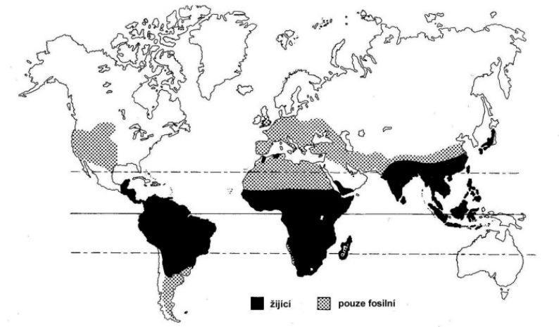 Geografické