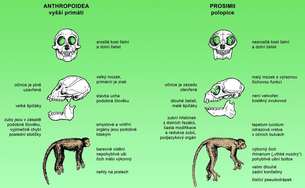 Srovnání poloopic