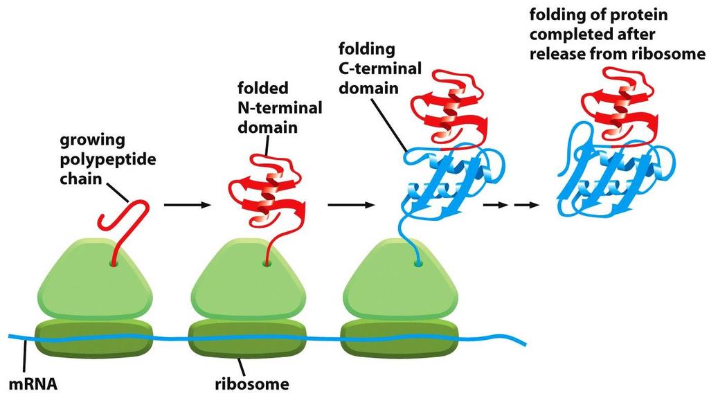 folding Figure 6-84 Molecular