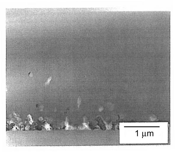 Obrázek 2.4: TEM snímek částečně krystalizované amorfní vrstvy. Krystalické zárodky vznikají na rozhraní se substrátem. Převzato z [18].