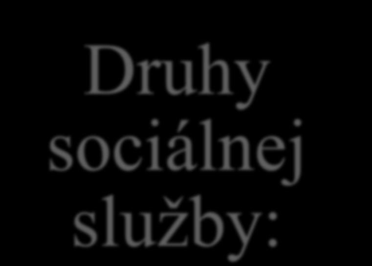 Druhy sociálnej sluţby: Podporné služby: Odľahčovacia sluţba - 54 Pomoc pri zabezpečovaní opatrovníckych práv a povinností - 55