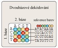 html) Sekvence barev může být převedena do sekvence bází (Obrázek 8), pokud známe první nukleotid v sekvenci (obvykle známe sekvenci primeru a adapteru).
