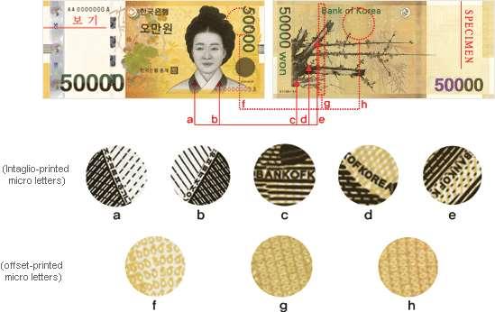 14) Mikrotisk - mikrotisk na obou stranách bankovky je pouhým okem takřka k nerozeznání od linek a čar na