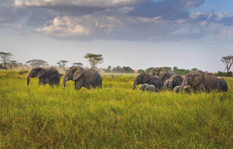 letecké safari nad jezery středoafrické prolákliny, které daroval Mary jako dárek k Vánocům.