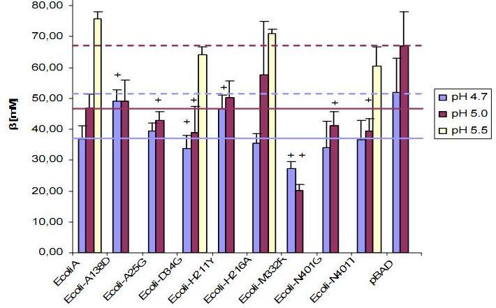 pufr ph 4,7 ph 5,0 kmen ph int σ phint β [mm] σ β [mm] vzorků ph int σ phint β [mm] σ β [mm] vzorků EcoliA 7,7 0,2 37 4 14 7,9 0,2 47 5 11 A138D 7,6 0,1 49 4 11 7,8 0,2 49 7 14 A25G 7,8 0,2 40 2 10