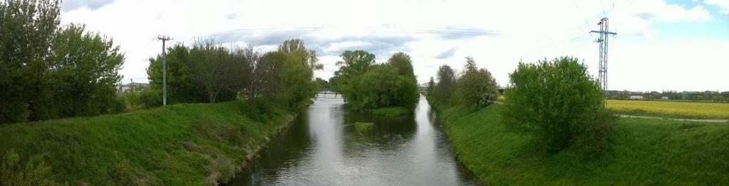 12 Soutok Svratky (vlevo) a Svitavy mezi Přízřenicemi a Chrlicemi (foto autorka, 2016).