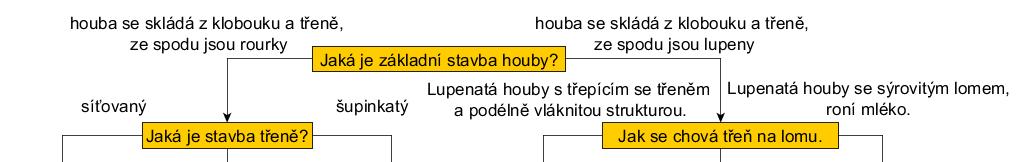 2.4. Klíč k určování hub Problém určování hub není triviální záležitostí. Milý kolego, tohle je velmi složité. Opakovaně se mě na to ptají mykologové, nakladatelství apod.