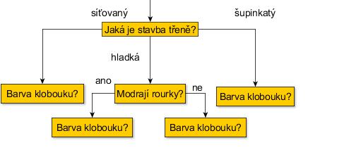 lupenaté houby Obrázek