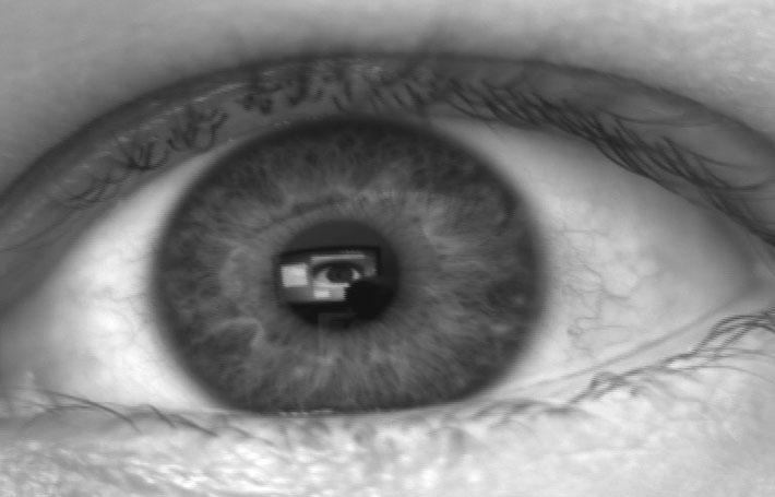 3.5 Rozpoznání duhovky Duhovka je jednou z nejpopulárnějších biometrických charakteristik.