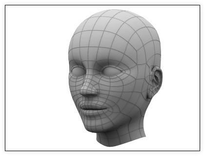 Obr. 3.2 3D rozpoznání tváře na principu analýzy vzhledu 3D rozpoznání tváře na principu analýzy modelu - tato metoda je založená na metodě analýzy syntézou.