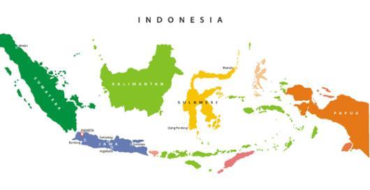 Indonésie Měna financování: obvykle je financování požadováno v USD Pokud je smlouva uzavřena v cizím jazyce (např.